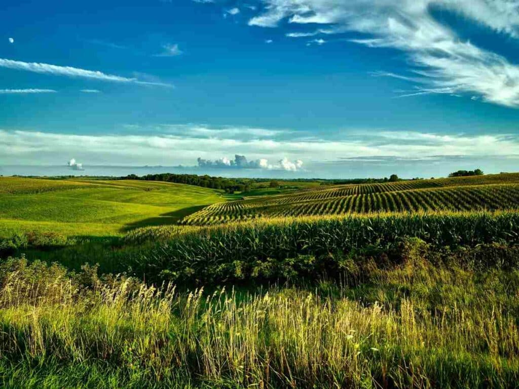 Green Iowa farmland landscape near Des Moines under blue sky
