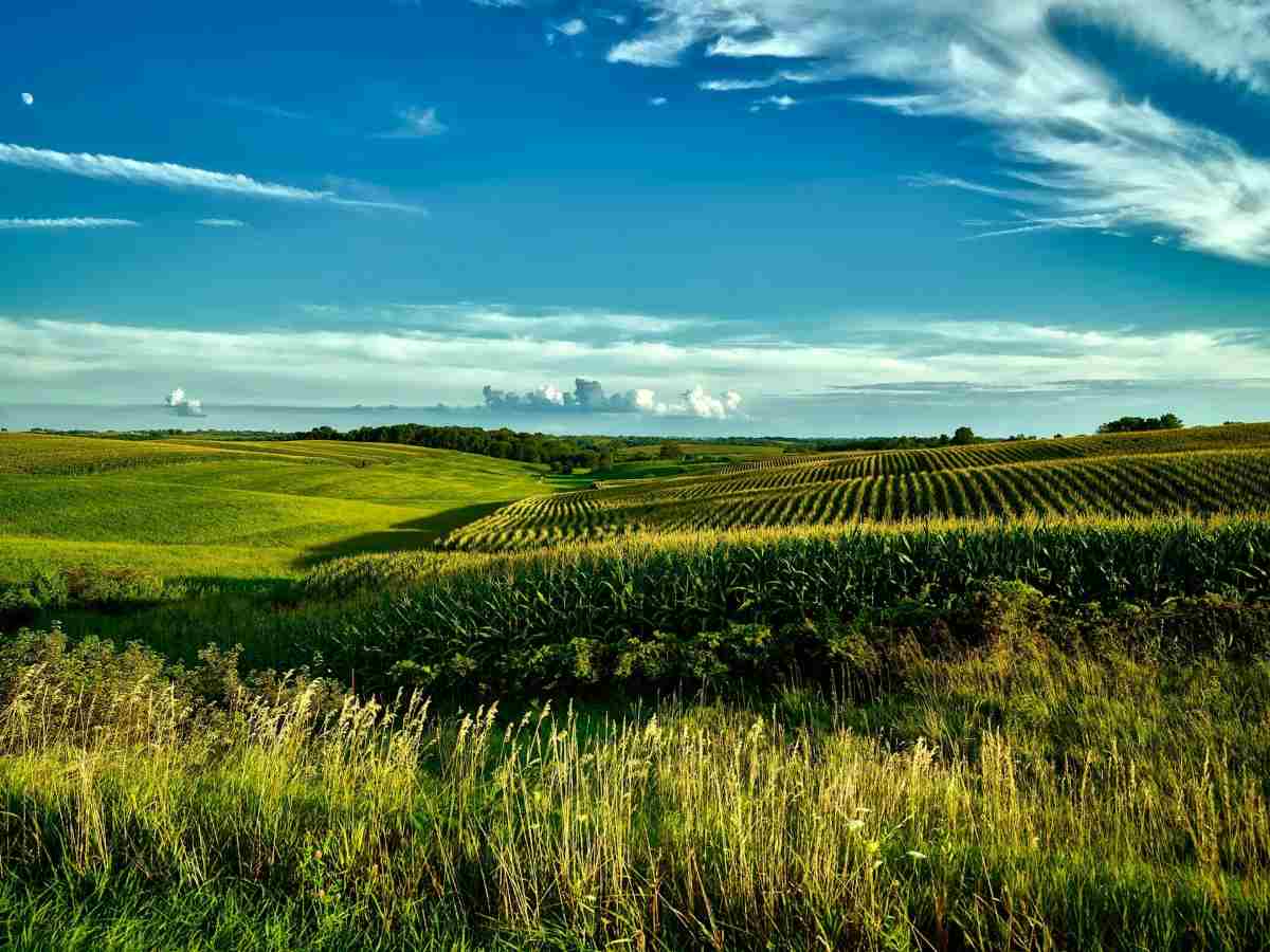 Green Iowa farmland landscape near Des Moines under blue sky